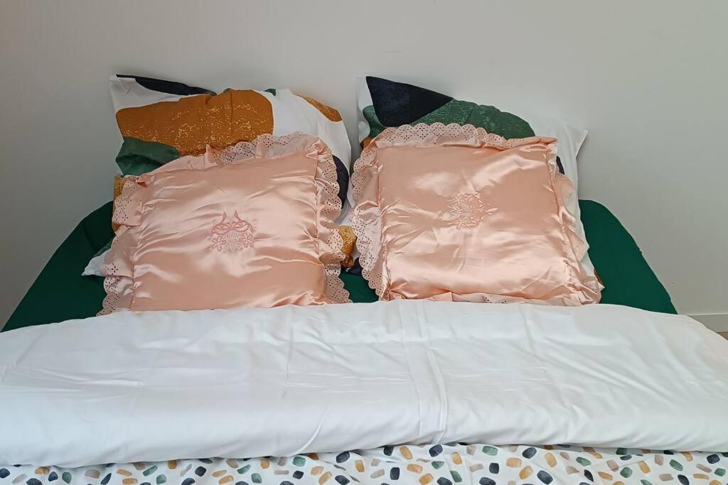 Duplex Lumineux & Wifi Netflix Apartment Roubaix